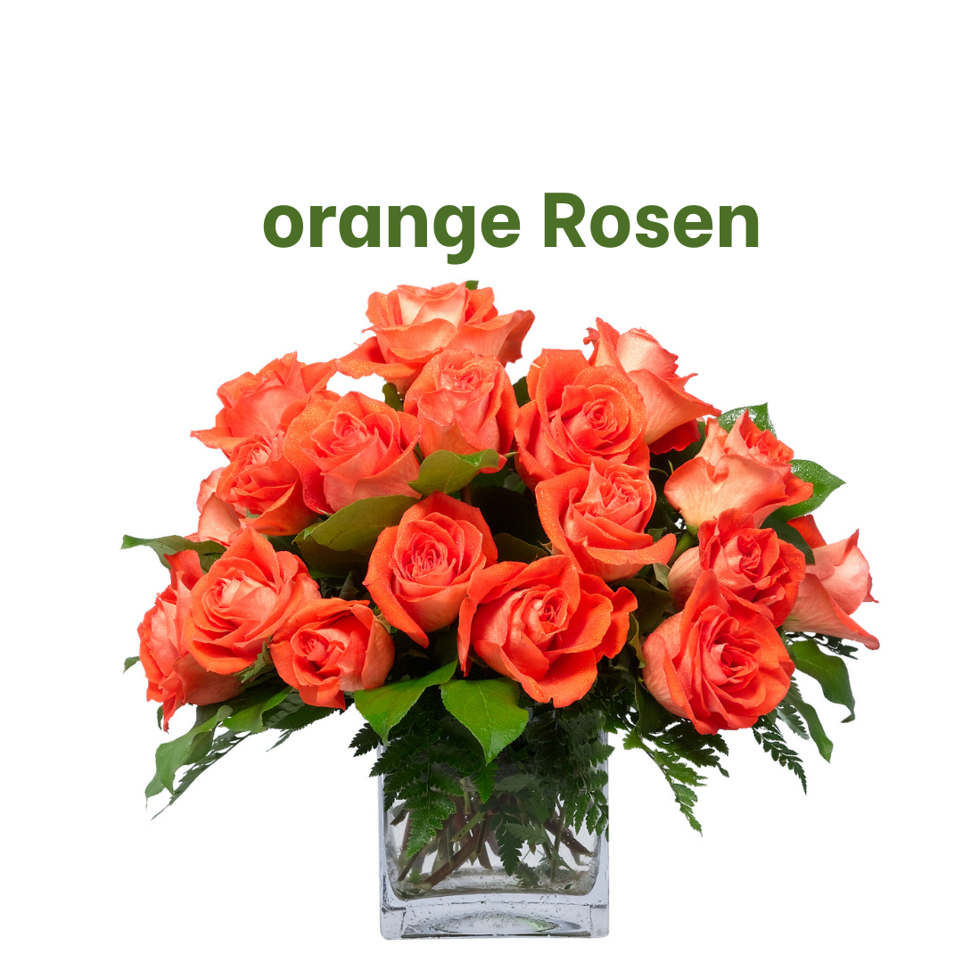 einfach "orange" Rosen