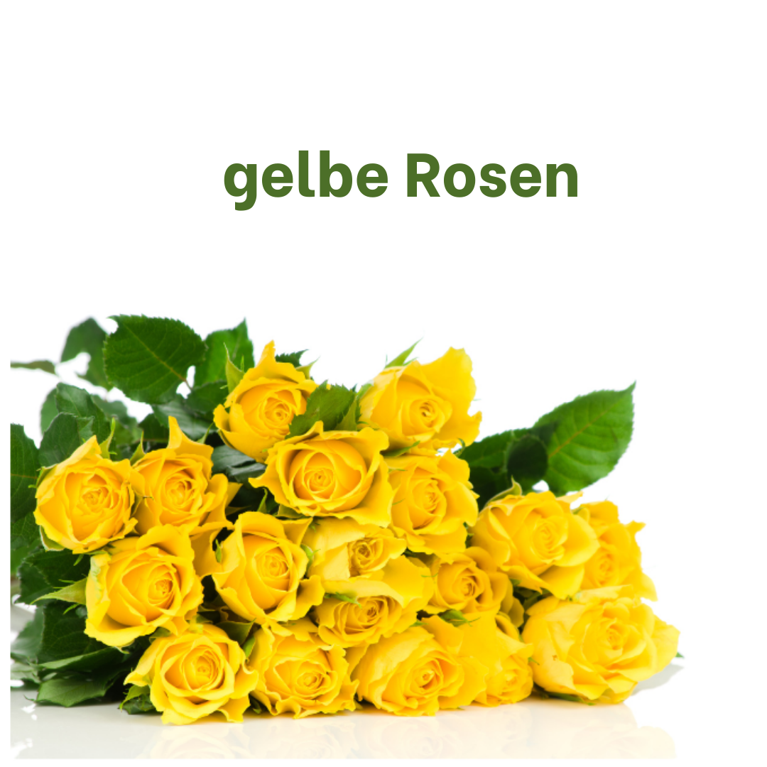 einfach "gelbe" Rosen